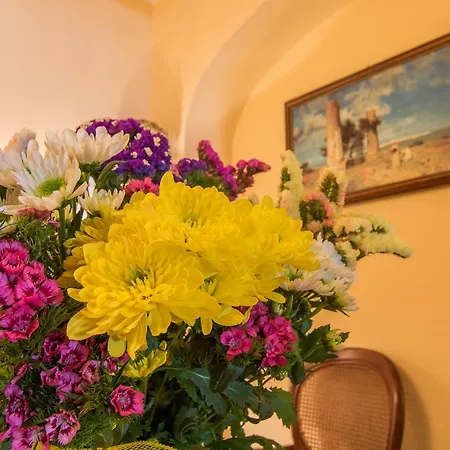 Apollo Bed and Breakfast